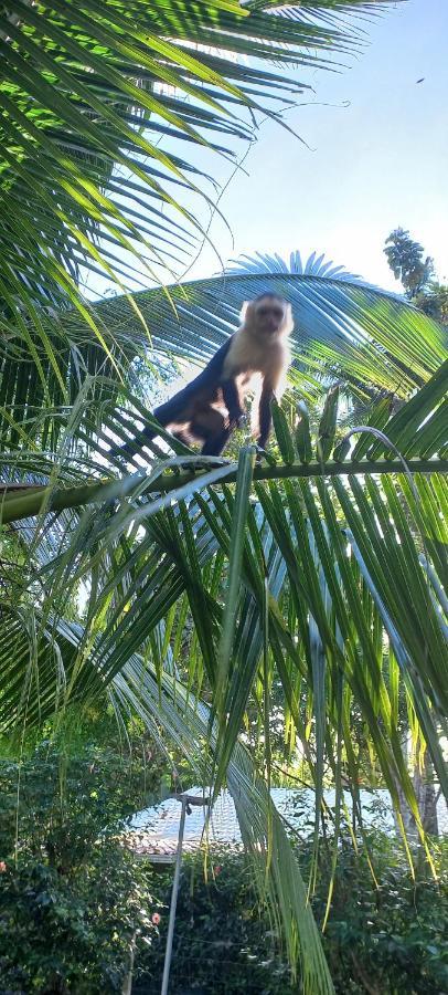 Casa Katharina Villa Cahuita Eksteriør bilde