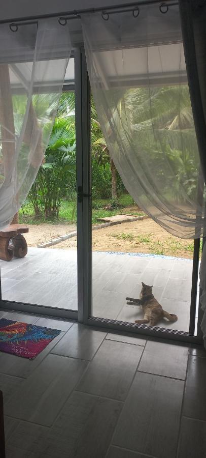 Casa Katharina Villa Cahuita Eksteriør bilde
