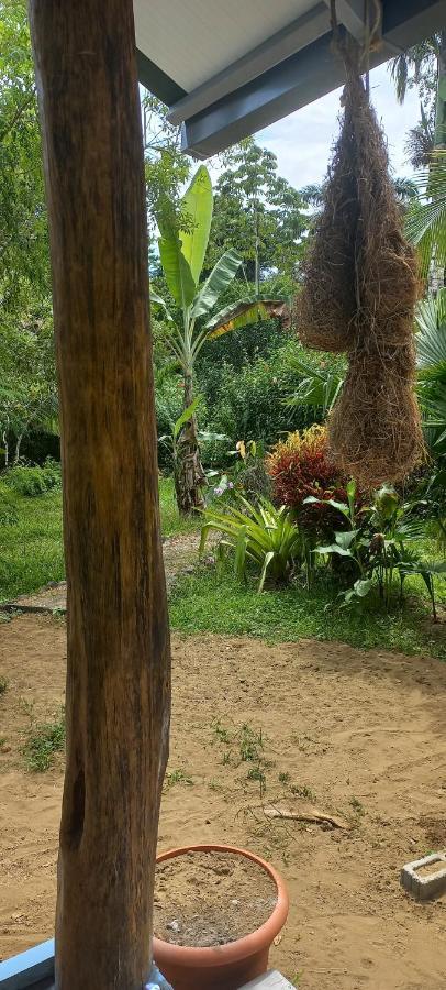 Casa Katharina Villa Cahuita Eksteriør bilde