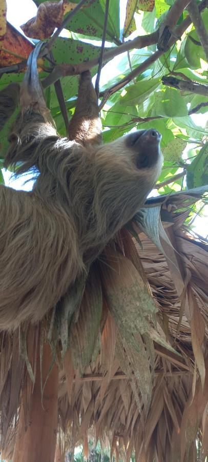 Casa Katharina Villa Cahuita Eksteriør bilde